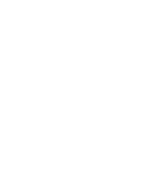real avenue shape